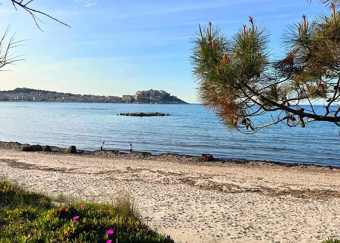 Aux Rivages De Sylvie - 150 M De La Apartment *