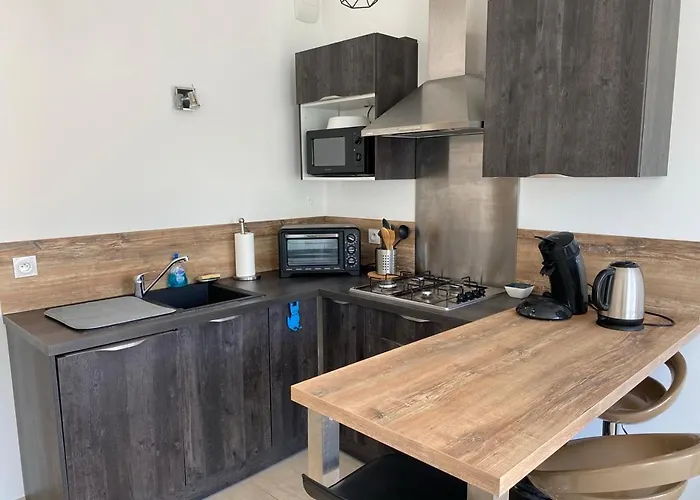 Apartment Aux Rivages De Sylvie - 150 M De La Calvi (Corsica)